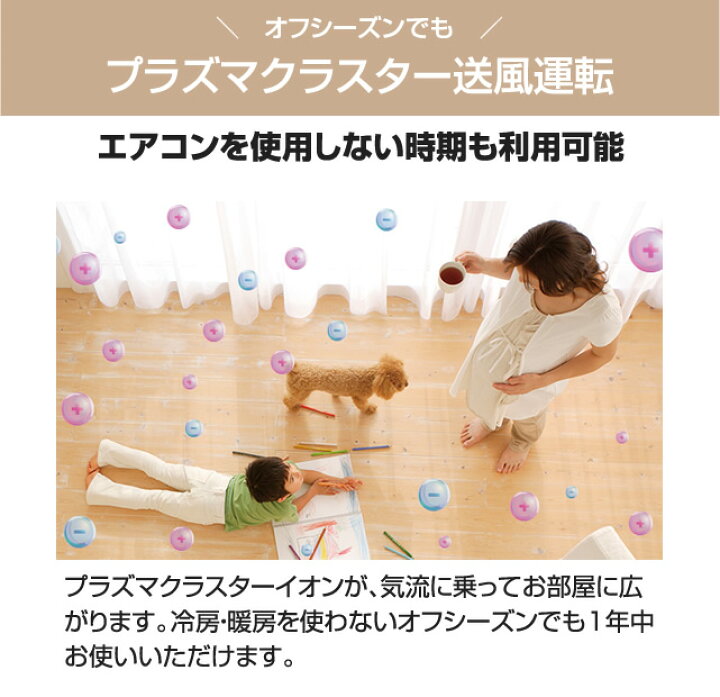 楽天市場】【最大2500円クーポン☆5/29迄】 【ランキング1位獲得 
