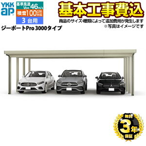 yyVtH[F菤iz[CAR-GPP3-T] W[|[gPro 3000^Cv YKK J[|[g 3p yHZbgii{{HjTCYEIvVނɂĒǉpKvz y