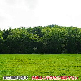 [AD-NPS45T-LW] パナソニック 食器洗い乾燥機部材 ドアパネル 幅45cm ミドルタイプ用 ドア用パネル 光沢のある単色扉柄 ビューティーホワイト 【送料無料】