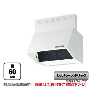 [BDRL-3HL-601-SI]�x�m�H�� �����W�t�[�h �X�^���_�[�h �V���b�R�t�@�� �Ԍ��F600mm BL III�^�������� �X���b�g�t�B���^ ������600mm�O���t�� �V���o�[���^���b�N �y���������z