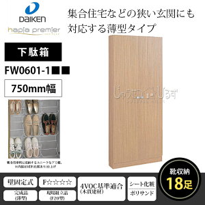 ʔ yV[Y ^ O 匚H _CP DAIKEN 750mm 1810 FW0801-1 󒍐Y C[18 ǖʎ[