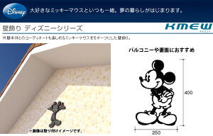 KMEW PC~[ ȏ O Ǐ fBYj[V[Y ~bL[}EXVO^CvA B523F1 Vz DIY tH[ A~jE   ZݔyDisneyzonez