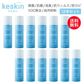 【送料無料】接触抗菌スプレー keskin ( ケスキン ) 12本セット　エアゾール缶除菌 抗菌 消臭 抗ウィルス VOC除去 防カビ 油汚抑制 除菌スプレー 光触媒 スプレー 抗菌 ウィルス ウイルス 対策 除去 予防 感染予防