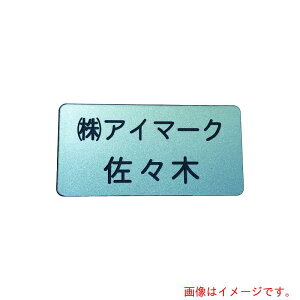 �y���[���֑Ή��z�A�C�}�[�N�@�ʍ얼�D�@25×50×2mm�@�����^�C�v�E�V���o�[�n�������@�y�i�ԁFAN-2550SC�z