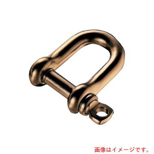 �ӂ����@�u�����Y�l�W�V���b�N���@�y�i�ԁFNS-6E�z