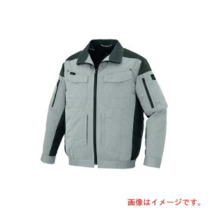 ACgXiAITOZj@󒲕pu]i󒲕TMj@Vo[O[@L@yiԁFAZ30699-003-Lz