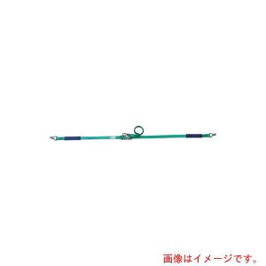 オールセーフ(allsafe) ベルト荷締機 ラチェット式ナローフック仕様(中荷重) 【品番:R3N14】