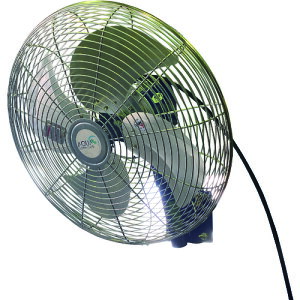 ANAVXe@GA[^[H@Ǌ|^@iA~nl45cmj@yiԁFAFK-18NLz