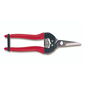 �y���[���֑Ή��z�A���X�R�[�|���[�V�����@�E�����V���[�g�^�C�v�i�������j�@�y�i�ԁF300S�z