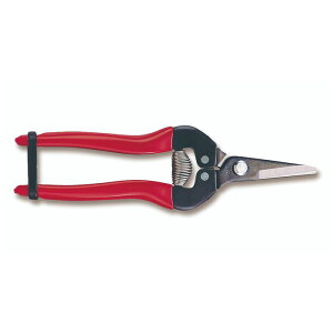 �y���[���֑Ή��z�A���X�R�[�|���[�V�����@�E�����V���[�g�^�C�v�i�u���X�^�[�p�b�N�j�@�y�i�ԁF300S-BP�z