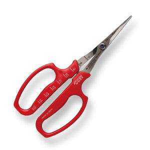 y[֑ΉzAXR[|[V@uhEE Ȑn ܓ@yiԁF321DX-Mz