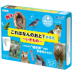 y[֑ΉzA[ebN@ArTeC@͂Ȃ̉?邽`́`@yiԁF21167z