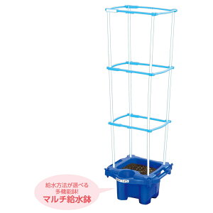 アーテック ArTeC マルチラクラクあさがお虫めがね付Bセット 【品番:3571】