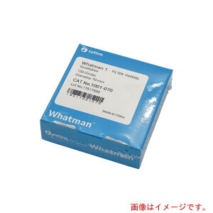 �A�Y�����@AS�@�萫�~�`�h��NO�D17�D0cm�@100���@�y�i�ԁF2-317-02�z