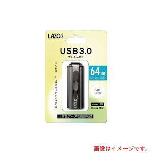 �A�Y�����@AS�@USB�������@L�|US64�|3�D0�@�y�i�ԁF3-666-15�z