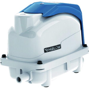 AY@AS@GA[|vXP|80@yiԁF1-2509-04z