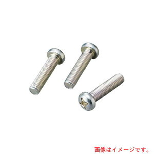 アズワン AS +ナベ小ネジ M5×45 鉄白 100本 【品番:4-289-63】
