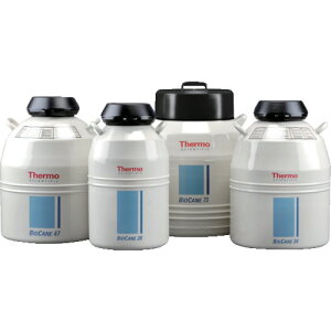 yʓrzAY@AS@ۑeCK509X2@yiԁF4-4007-02z