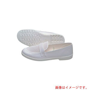 �A�Y�����@AS�@�N���[���V���[�YFZ651C26�D5�@�y�i�ԁF6-7567-10�z