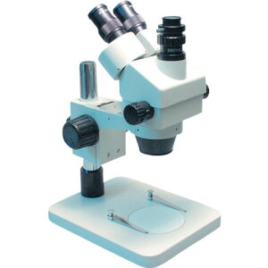 AY@AS@Y[̌@SZM|T|NOM@yiԁF2-1146-04z