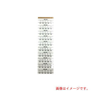 �A�Y�����@AS�@�T�[���s�b�g�i�s�t���j�@5FC125�@�i20�����j�@�y�i�ԁF2-2608-05�z