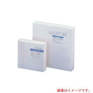 �A�Y�����@AS�@�f�����|�A�t�B���^�[SVLP01300�@�y�i�ԁF2-3041-01�z