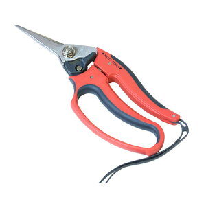 y[֑Ήz󍁍HƁ@ۈ }CtBbg K[fMF-140@yiԁF190613zyJANF4960517190617z