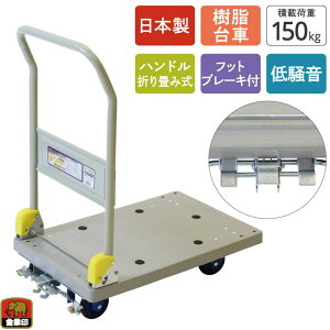 󍁍HƁ@ۈ L[ NP-150DXL tbgu[Lt@yiԁF182018zyJANF4960517182018z