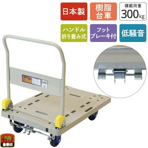 󍁍HƁ@ۈ L[ NP-300DXL tbgu[Lt@yiԁF182025zyJANF4960517182025z