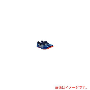 AVbNX@ASICS@EBWu@CP210@}Ru[×Vo[@27D5cm@yiԁF1273A006.400-27.5z