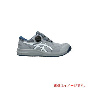 AVbNX@ASICS@EBWuCP309@BOA@V[gbNXzCg@28D0cm@yiԁF1273A095.020-28.0z