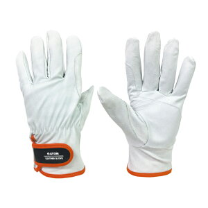 Ag@Rrv W[@L@yiԁF2062z