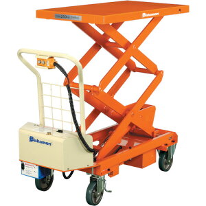 yʓrzXMXiBishamonj@nht^[@t^[BXidj@ϓ׏d100kg@e[u@813×500mm@yiԁFBX10WBz