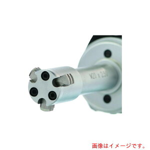 BOWERS�@�o�E�A�[�Y�˂����@����Q�[�W�@����p�w�b�hM10X1�D5�p�@�y�i�ԁFTHRH-M10X1.5�z