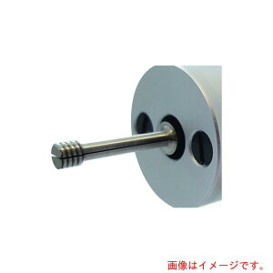 BOWERS�@�o�E�A�[�Y�˂����@����Q�[�W�@����p�w�b�hM6X1�D0�p�@�y�i�ԁFTHRH-M6X1.0�z