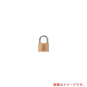 BURG-WACHTER@Fq^[@V_[싞@{bVA@450^40^6SB@fBvL[6{@yiԁF33711z