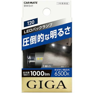 J[CgiCarmatej@LEDobNv@S1000@T20@zCg@yiԁFBW341z