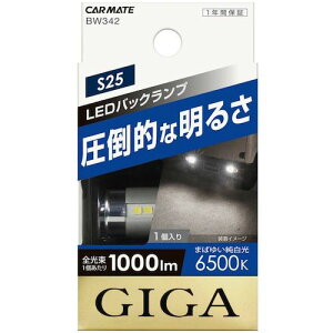 J[CgiCarmatej@LEDobNv@S1000@S25@zCg@yiԁFBW342z