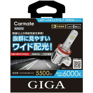 J[CgiCarmatej@LEDwbhtHOou@C5500@6000K@H8^9^11^16@yiԁFBW573z