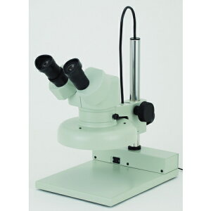 J[giCartonj@NSW|1PF15|260@̌@{10{@yiԁFM35801526z