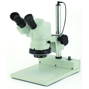 J[giCartonj@NSW|2PG|260@̌@{20{@yiԁFM366126z