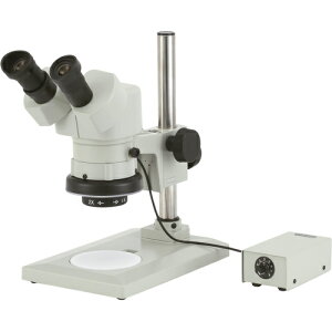 J[giCartonj@NSW|40FTP|GS|260@̌@{20{E40{@yiԁFM377426z