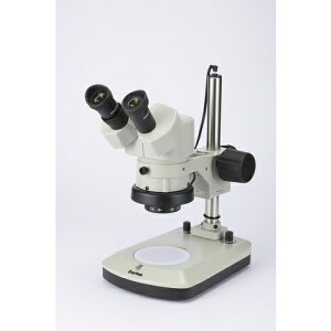 J[giCartonj@NSW|1IT@̌@{10{@yiԁFM381026z