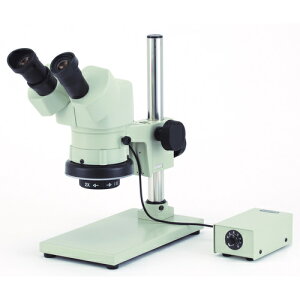 J[giCartonj@NSW|40SB|GS|260@̌@{20{E40{@yiԁFM399426z