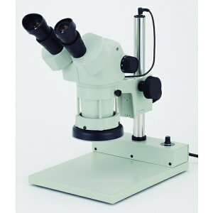 yʓrzJ[giCartonj@SPZH|135PGLL260@̌@yiԁFMS1366226Xz