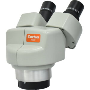 J[giCartonj@NSW|2@̌wbh@{20{@yiԁFMS3601z