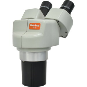 J[giCartonj@NSW|30@̌wbh@{10{E30{@yiԁFMS3603z