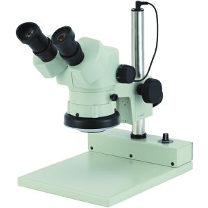 J[giCartonj@DSZ|44PG|260@̌@yiԁFMS466226z