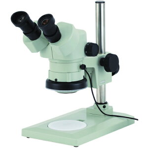 J[giCartonj@DSZ|44FTP|GS|260@̌@yiԁFMS477226z