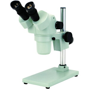 J[giCartonj@SPZ|50SB|260@̌@yiԁFMS556226z